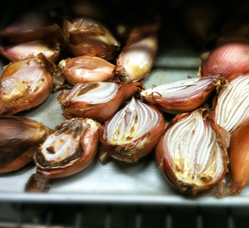 Roasted shallots